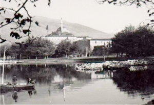 Γιαννιώτικα ιστορικά πλατάνια και κυπαρίσσια 61 εικόνα 7 Custom