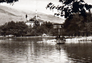 Γιαννιώτικα ιστορικά πλατάνια και κυπαρίσσια 62 εικόνα 8 Custom