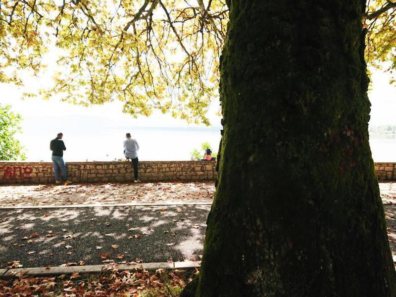 πλατάνια ψαράδες Custom