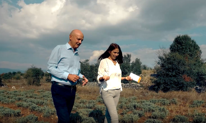 vougioukas kaskanakou