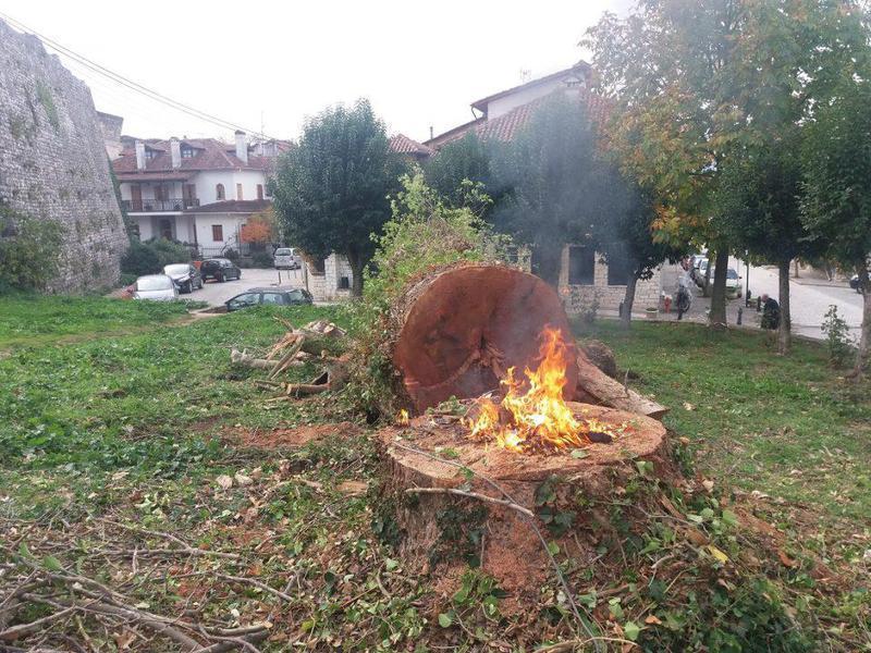 kopi platania Its kale 1