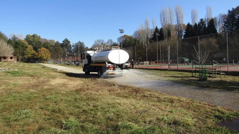 parkopyrsinella ydrofora