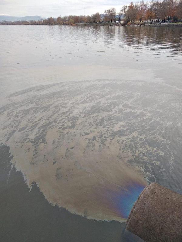 petrelaio agwgos pamvotida