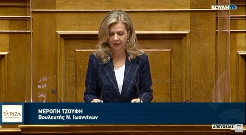 tzoufi vouliproipologismos