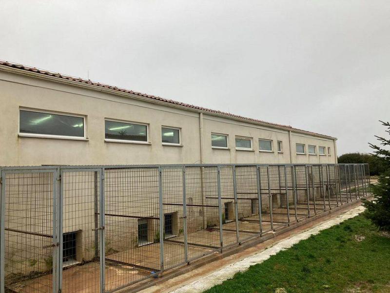 katafygio adespoton1