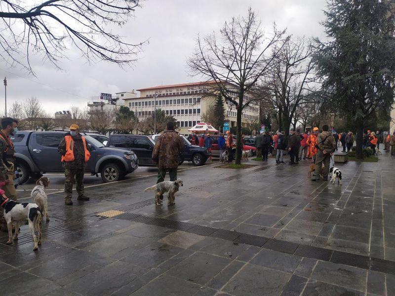 kynhgoi diamartyria plateia