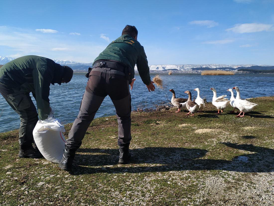 ripsitrofis thirofylakes 1