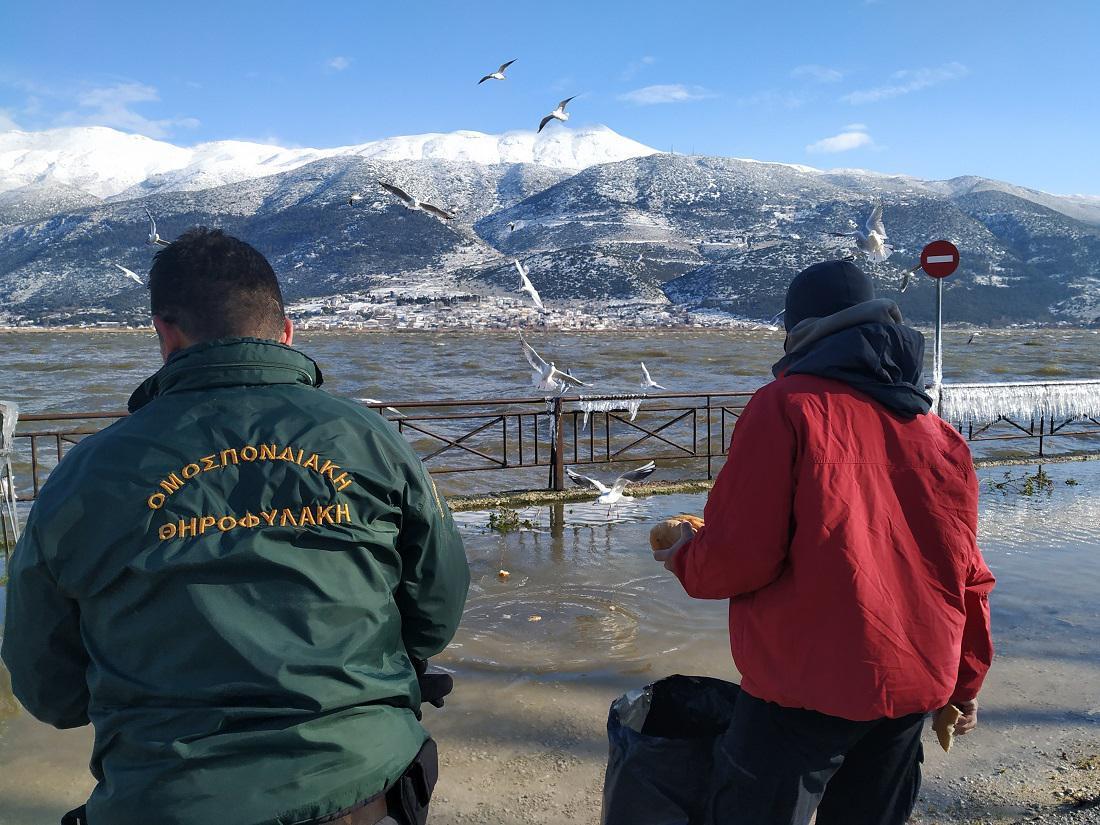 ripsitrofis thirofylakes 2