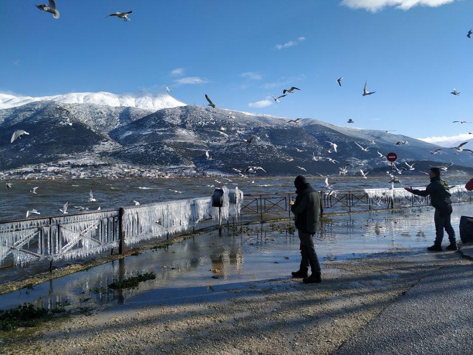 ripsitrofis thirofylakes 3