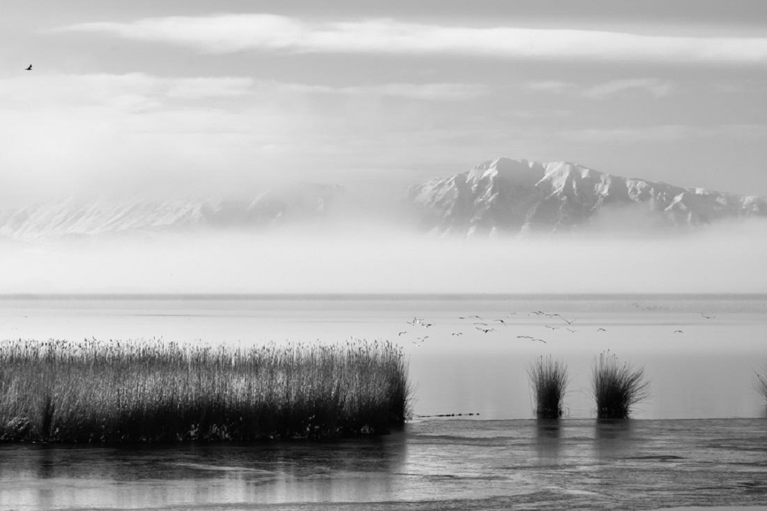 Φωτογραφικές ματιές στην πόλη και το περιβάλλον της 56 Β Βραβείο ΘΕΟΔΩΡΟΣ ΠΑΠΑΤΡΕΧΑΣ
