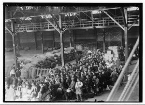 ΕΙΚΟΝΑ 2 Custom