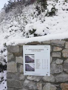 anarrixisi ex tour 1