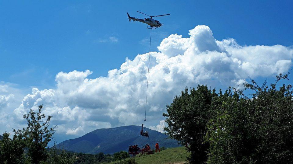 seismikeserevnes petrelaio