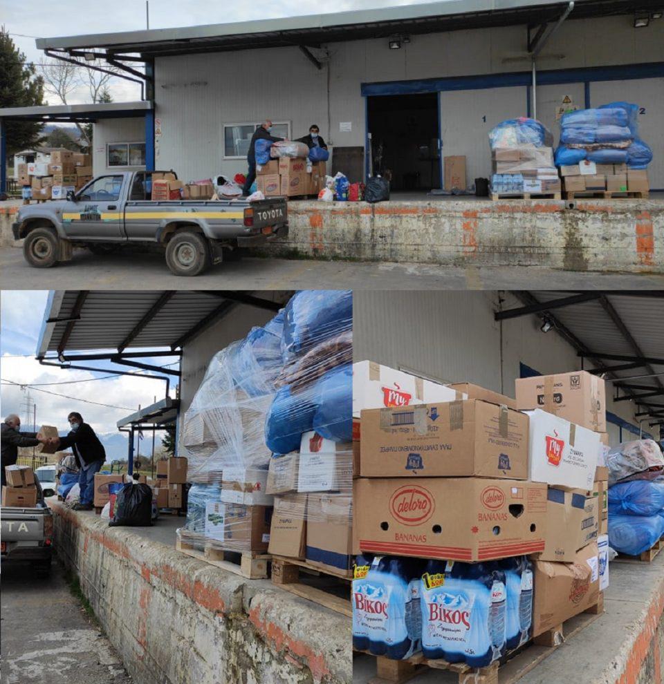 voithia seismopatheis