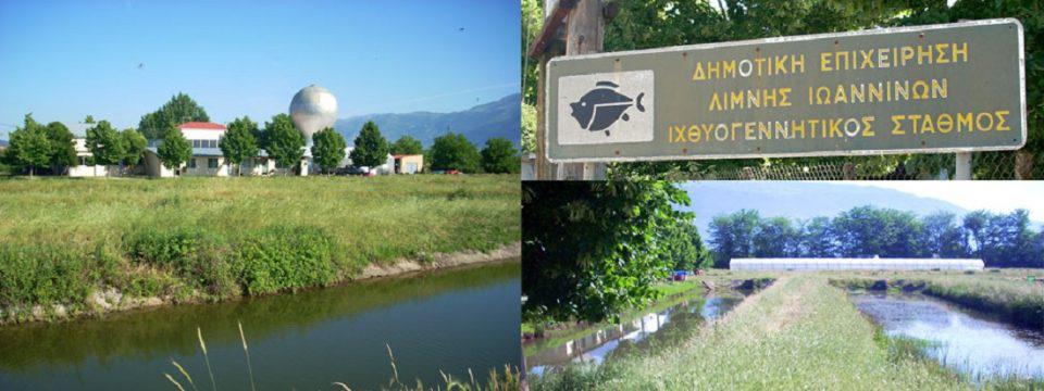 deli ixthiogennitikos