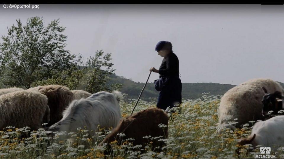 dwdwni oianthropoimas