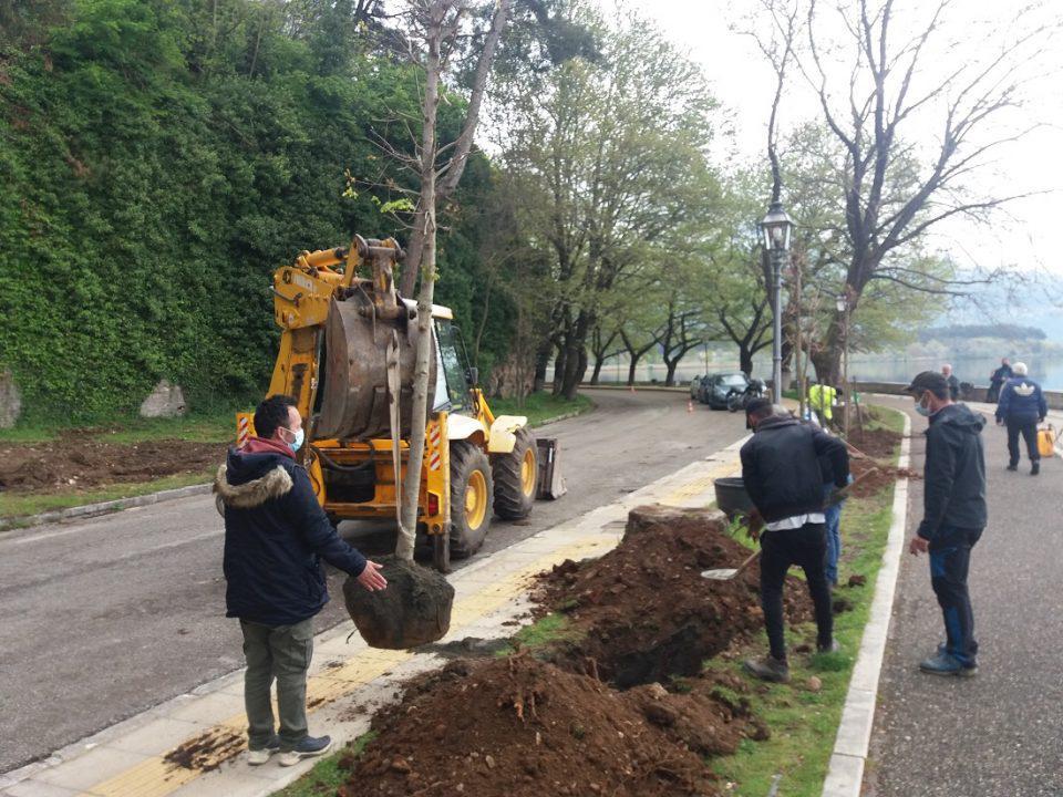 fyteysi sfendamos paralimnio