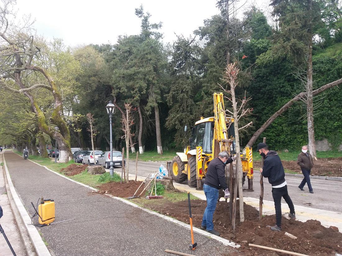 fyteysi sfendamos paralimnio1