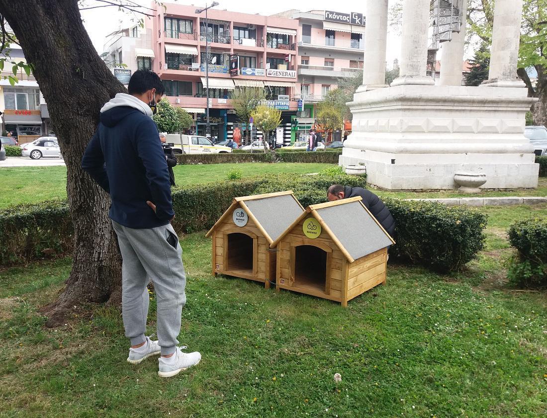 Δώδεκα σπιτάκια για αδέσποτα από τον... κουμπαρά τους 55 spitakia adespota 2