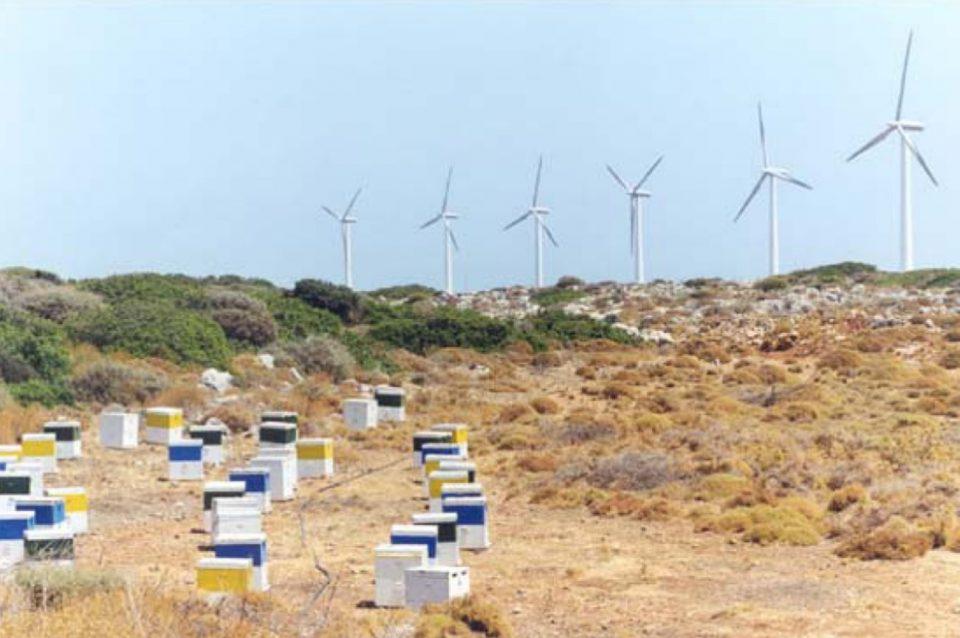 ΚΥΨΈΛΕΣ ΆΡΘΡΟΥ ΜΕΓΑΛΗΣ ΤΡΙΤΗΣ Custom