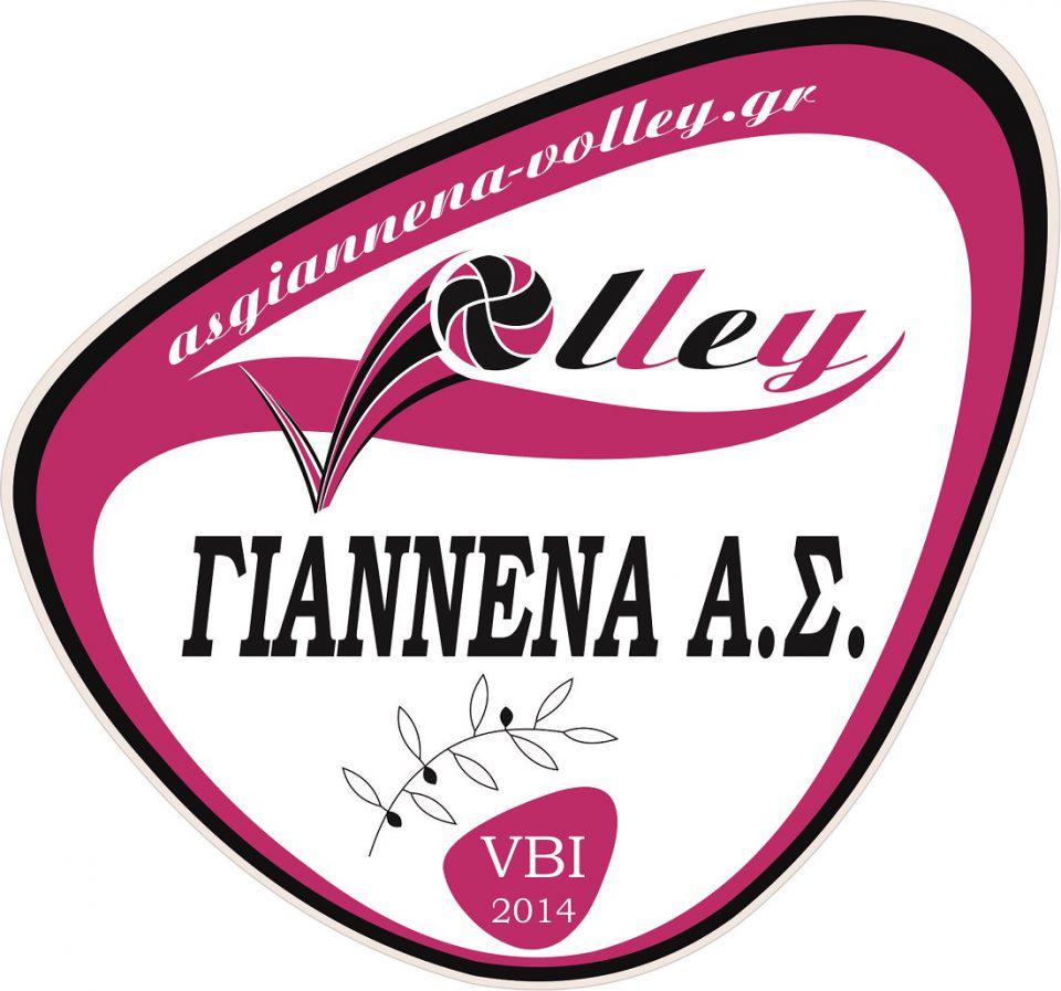 Giannena volley logo