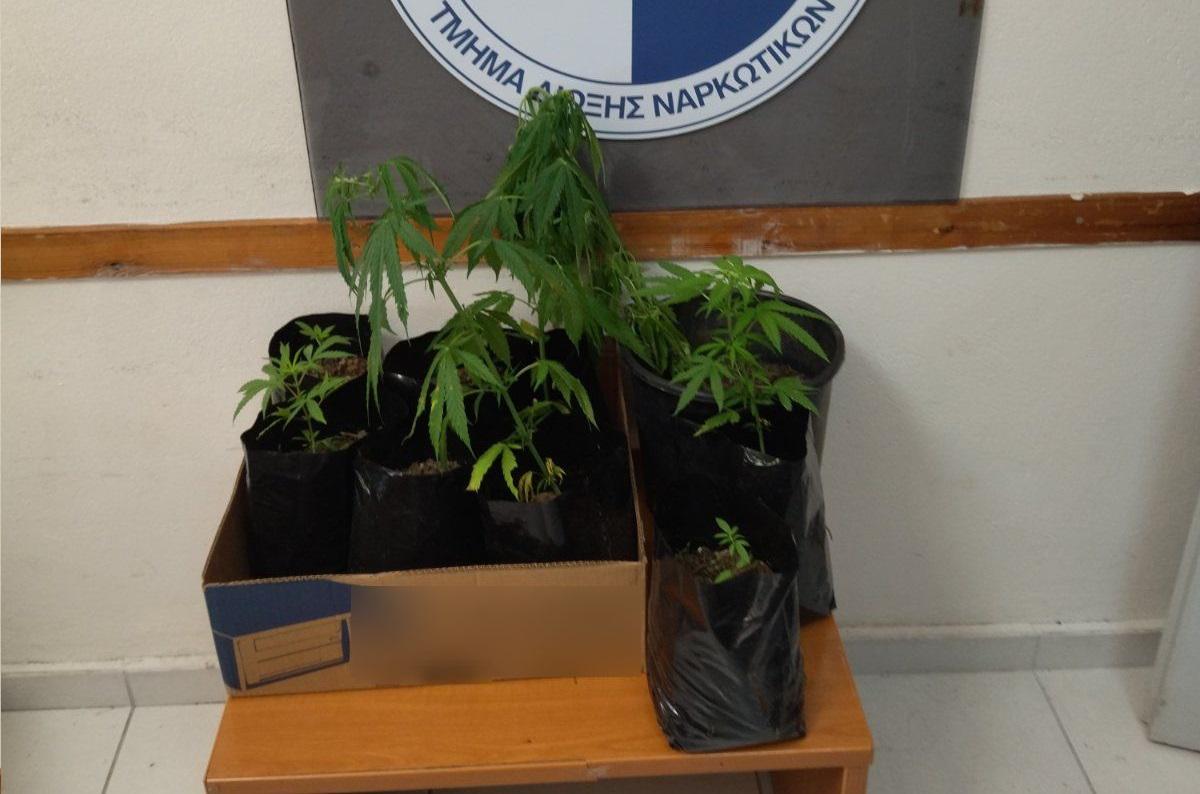 egklimatiki souli fanari 2