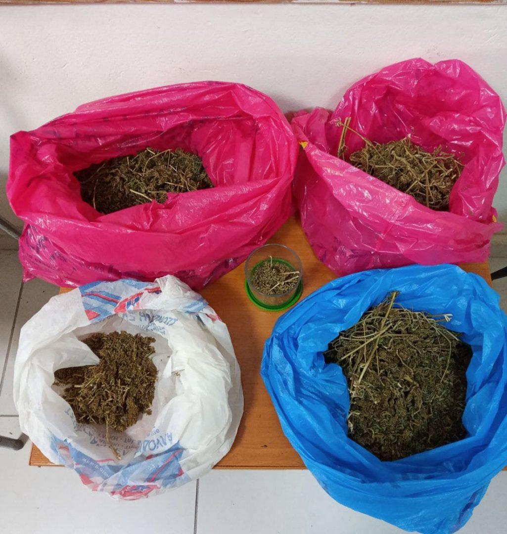 egklimatiki souli fanari 4