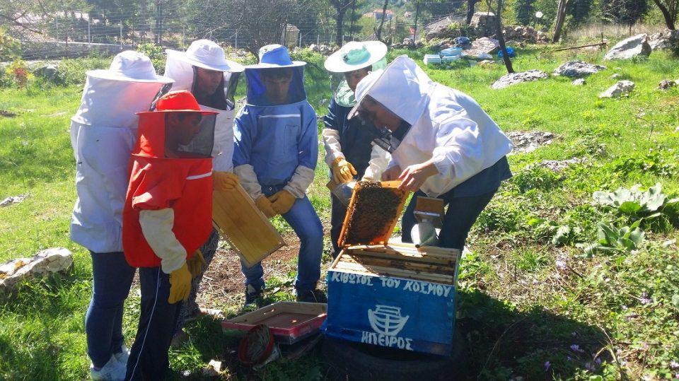 melissokomiakivotoskosmou