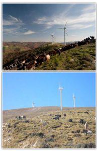 photo 1 ΤΕΤΑΡΤΗ Custom