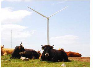 photo 2 ΤΕΤΑΡΤΗ Custom