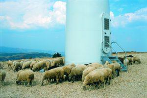 photo 3 ΤΕΤΑΡΤΗ copy Custom