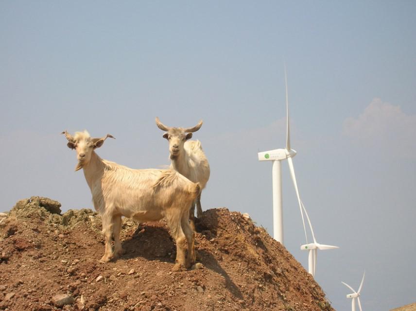 photo 4 ΤΕΤΑΡΤΗ copy Custom