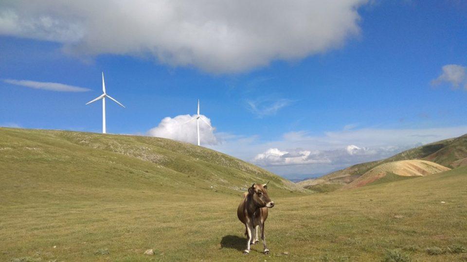 photo κεντρική ΤΕΤΑΡΤΗ copy Custom