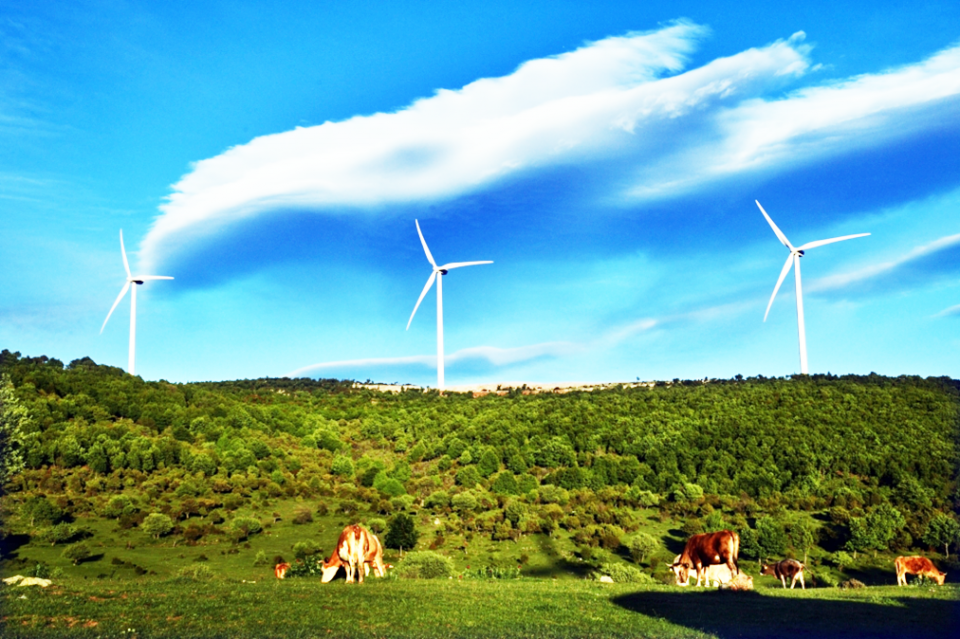 ΚΕΝΤΡΙΚΗ ΕΙΚΟΝΑ ΜΕ ΛΕΖΑΝΑ