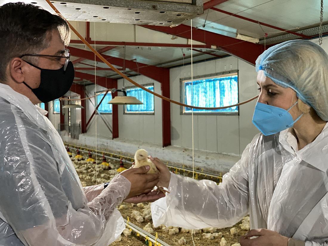 arampatzi ioannina 1