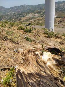 ΑΙΟΛΙΚΑ ΣΗΜΕΙΑ ΗΠΕΙΡΟΣ 4 Custom