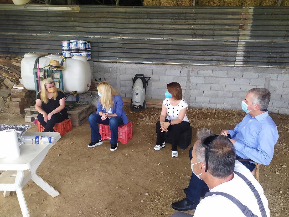 Αραμπατζή κτηνοτρόφοι 1