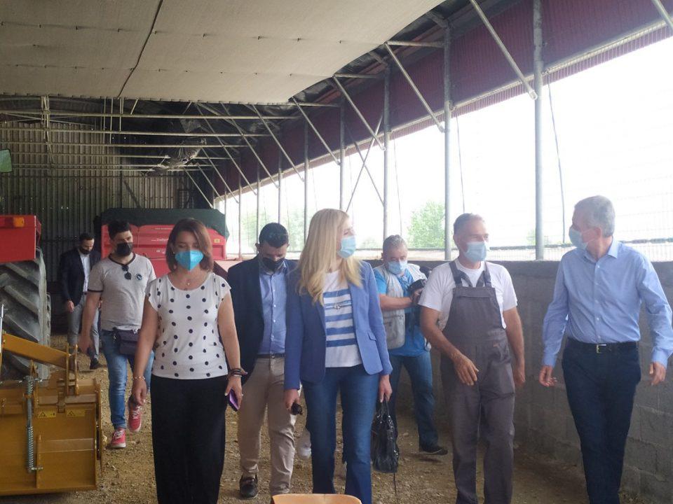 Αραμπατζή κτηνοτρόφοι 2