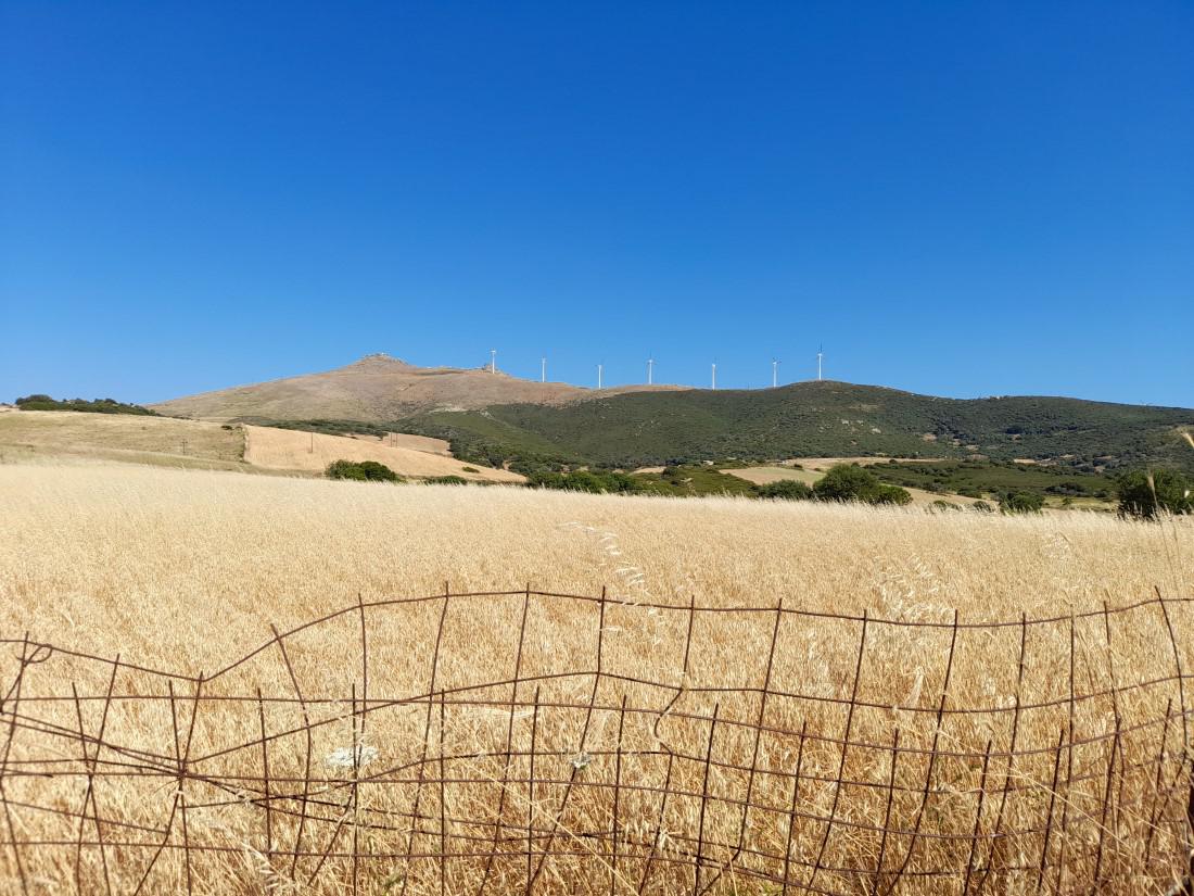 20210621 094456 Custom