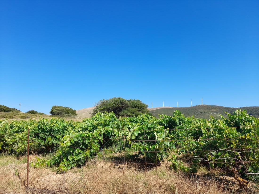 20210621 094758 Custom