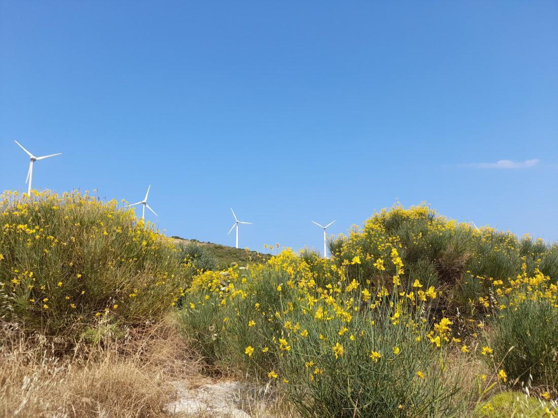 20210621 155936 Custom