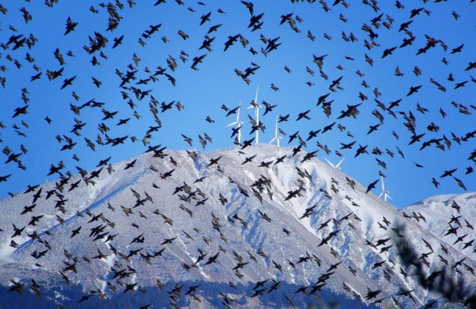 30 33 Kossyfidou Maria Panachaiko 1