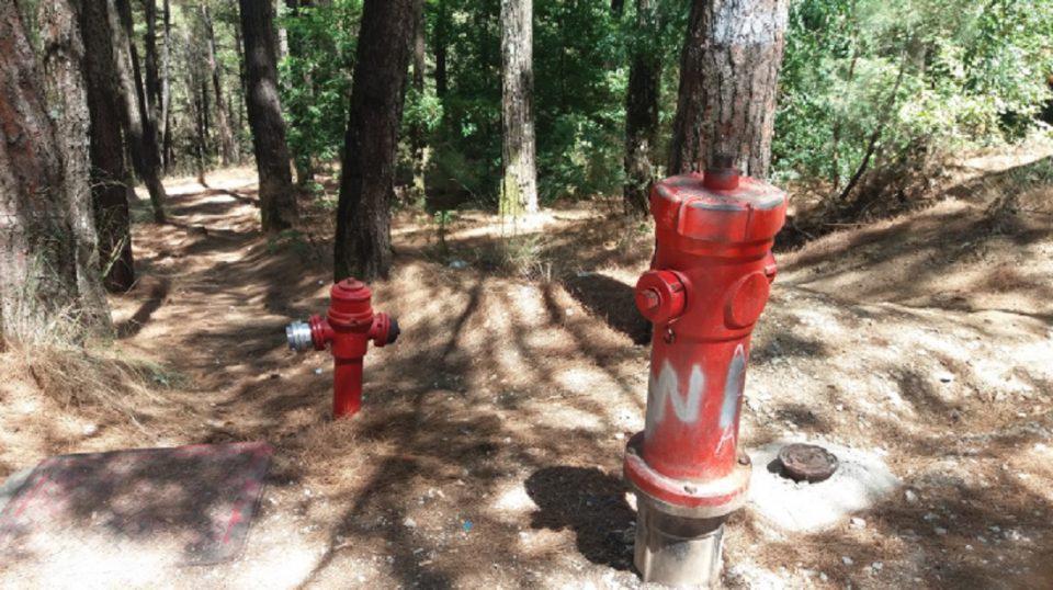 krounoi periastiko dasos