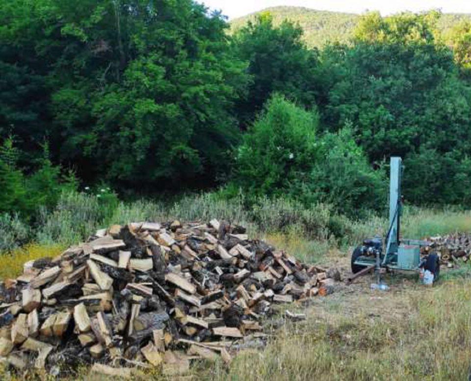 lathroylotomia prionokordela