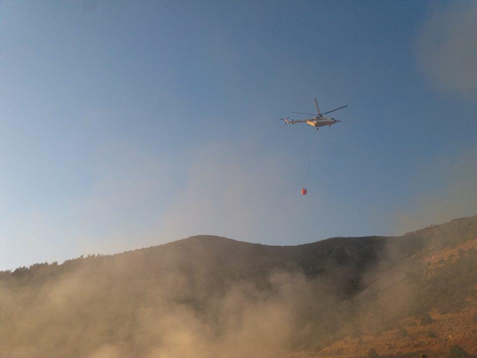 ligkiades fwtia arxeio