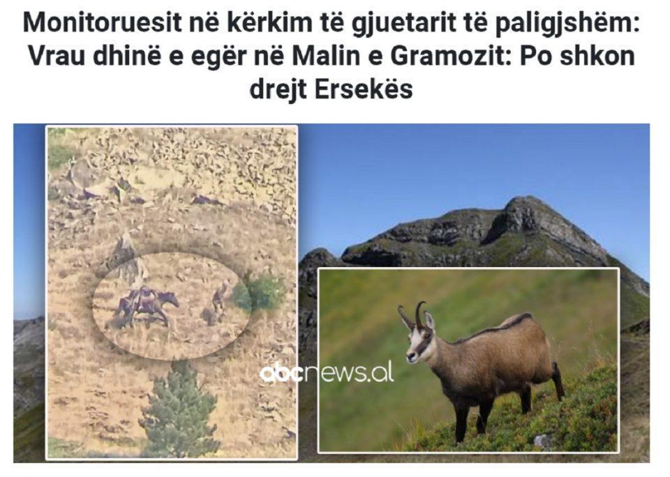 agriogido alvaniamme