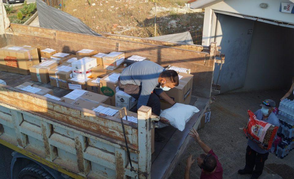 dimoszitsas pyropliktoievoia