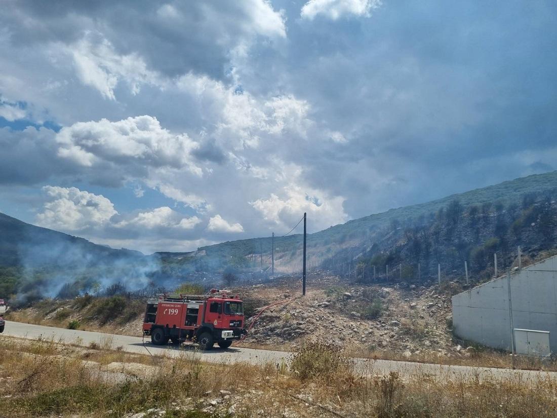 fotia Terovo