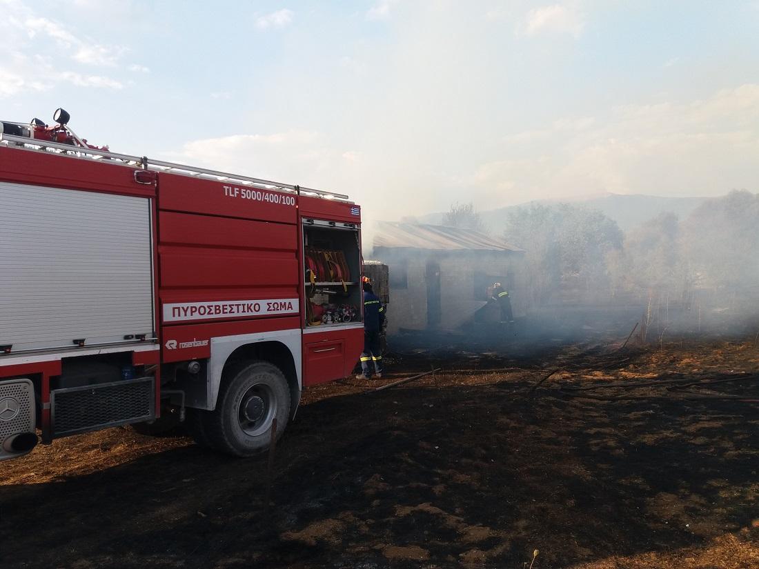 fwtia apothiki rodotopi 1