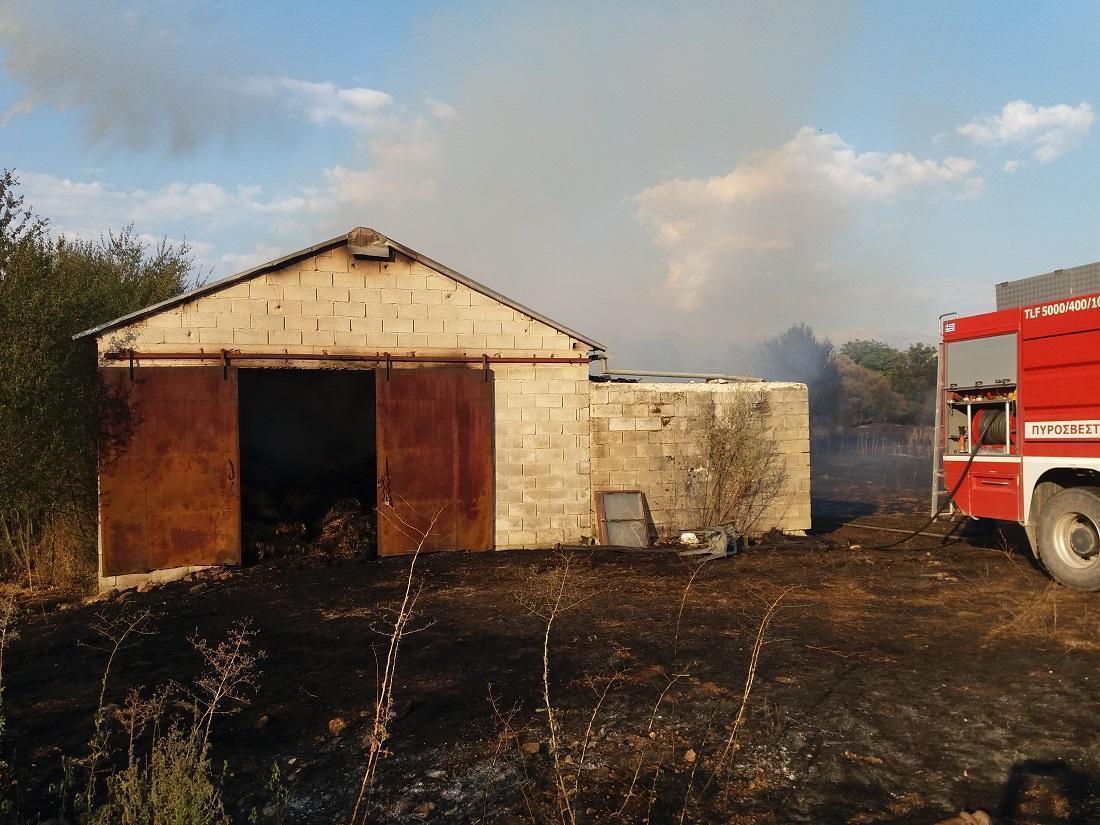 fwtia apothiki rodotopi 2